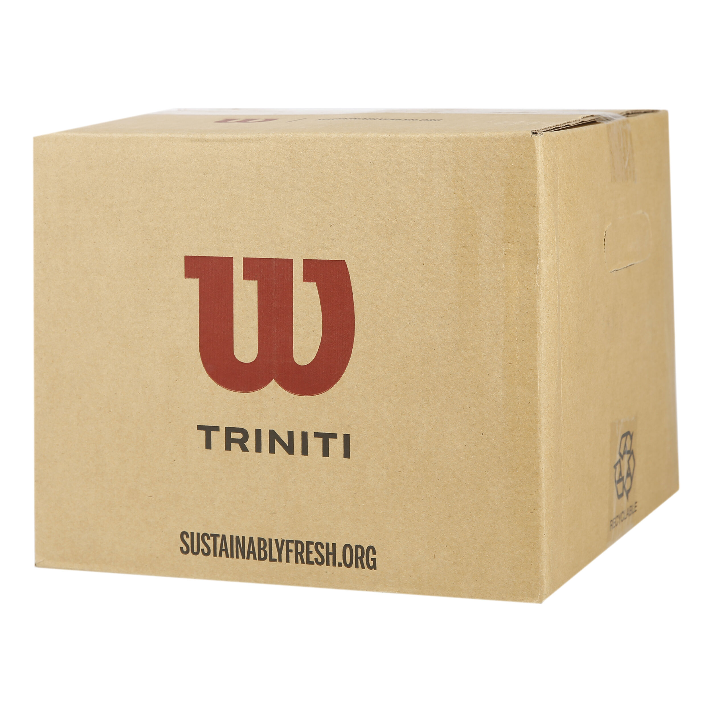 Triniti Club 36 Pack Special Edition